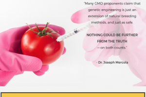 GMOs Revealed