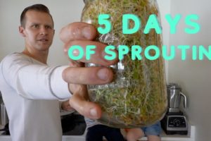 5 Days of Sprouting